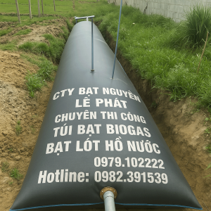 Túi Bigoas Hộ Gia Đình 200 Khối tại Bắc Giang