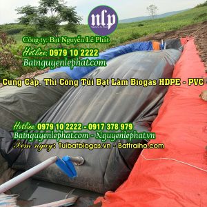 Túi Bạt Bigoas HDPE