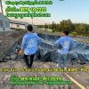Thi Công Túi Bể Khí Hầm Biogas Trang Trại Chăn Nuôi Tai Nha Trang Khánh Hòa