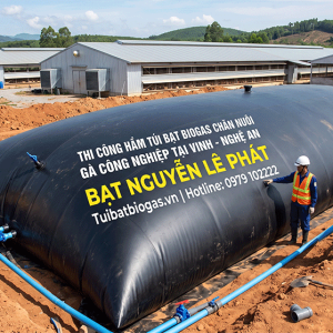 Túi Biogas 300 Khối Tại Phú Giáo Bình Dương, Túi biogas nào vừa bền, vừa tiết kiệm cho hộ chăn nuôi?