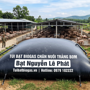 Túi Biogas 300 Khối Tại Phú Giáo Bình Dương, Túi biogas nào vừa bền, vừa tiết kiệm cho hộ chăn nuôi?