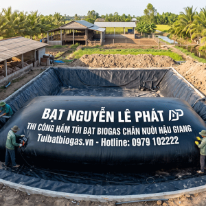 Thi công túi bạt bigoas