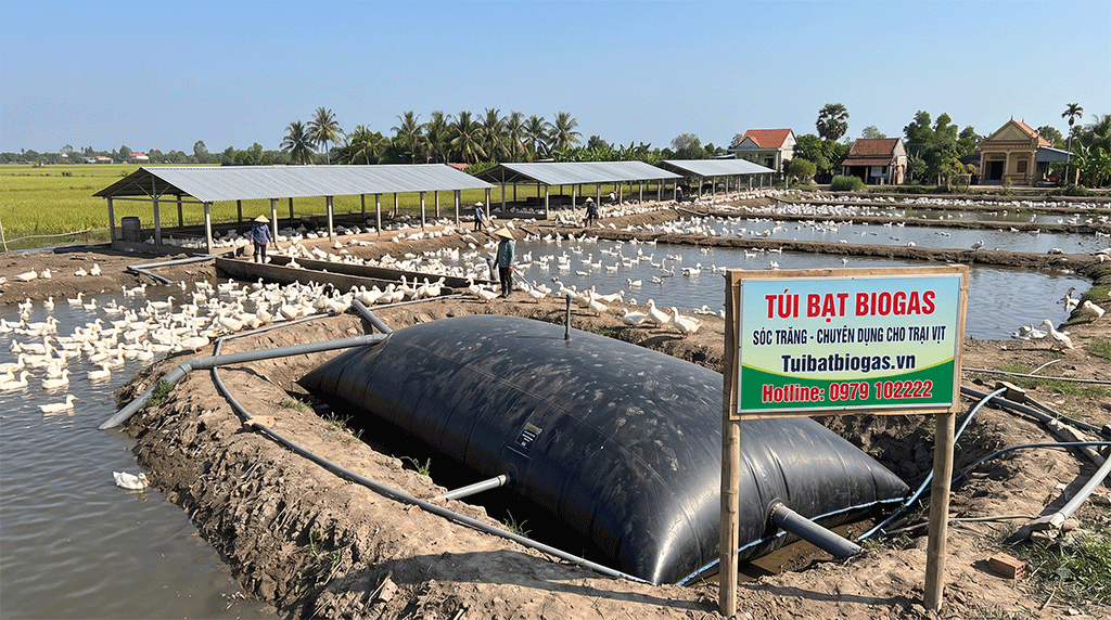 Túi Bạt Biogas 300 Khối Tại Phú Giáo Bình Dương Túi Bạt Biogas 300 Khối Tại Phú Giáo Bình Dương